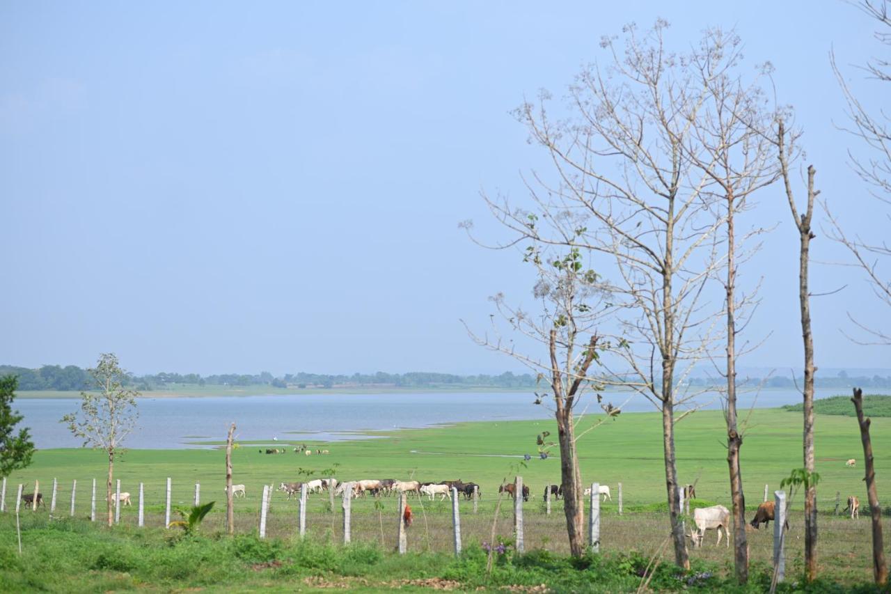 Fireflies Kabini Begūr Exterior foto